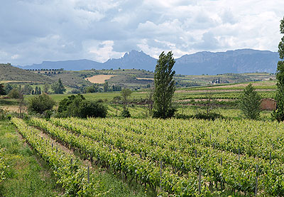 Blick auf die Landschaft