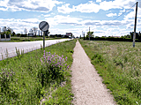 Jakobsweg neben der Strae