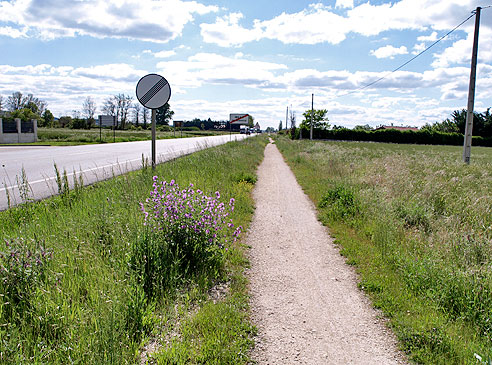 Jakobsweg neben der Straße