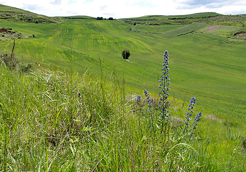 Schöne Landschaft