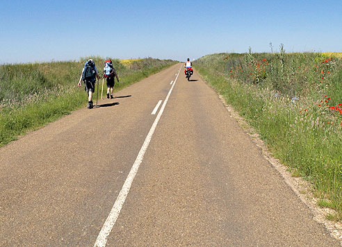 Canal de Castilla