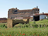 Klatschmohnfelder