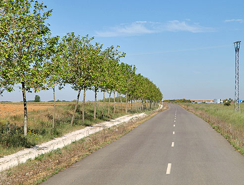 Der Camino - Fußweg und Radweg 
