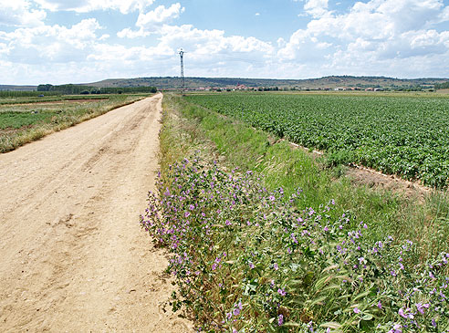 Naturbelassener Weg