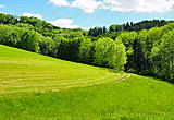 Schöne Landschaft