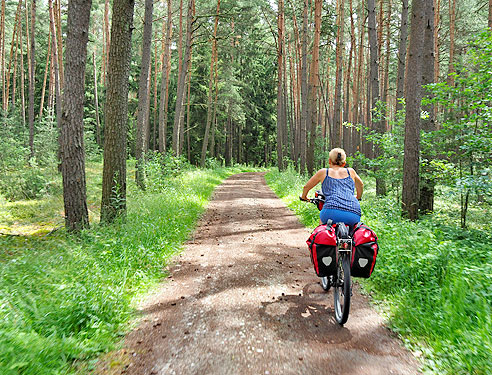 Radweg durch den Wald