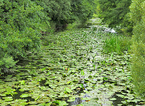 Über den Fluss Wieseth