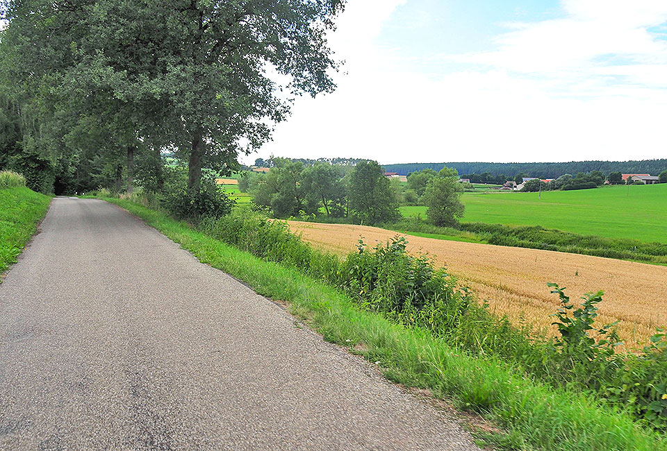 Schönes naturbelassenes Rezat-Tal