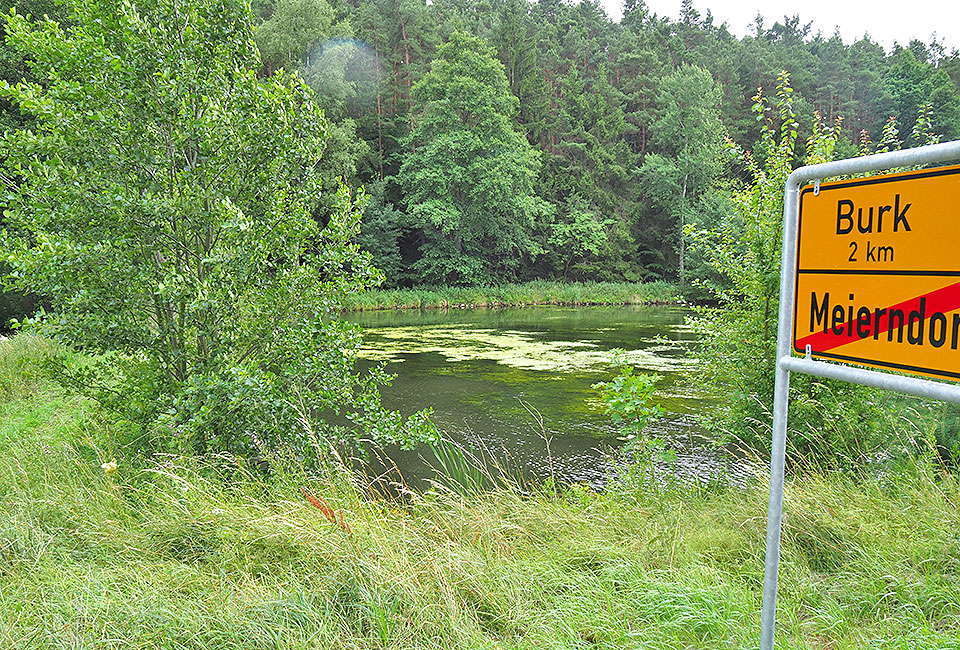 Karpfenteich vor Burg