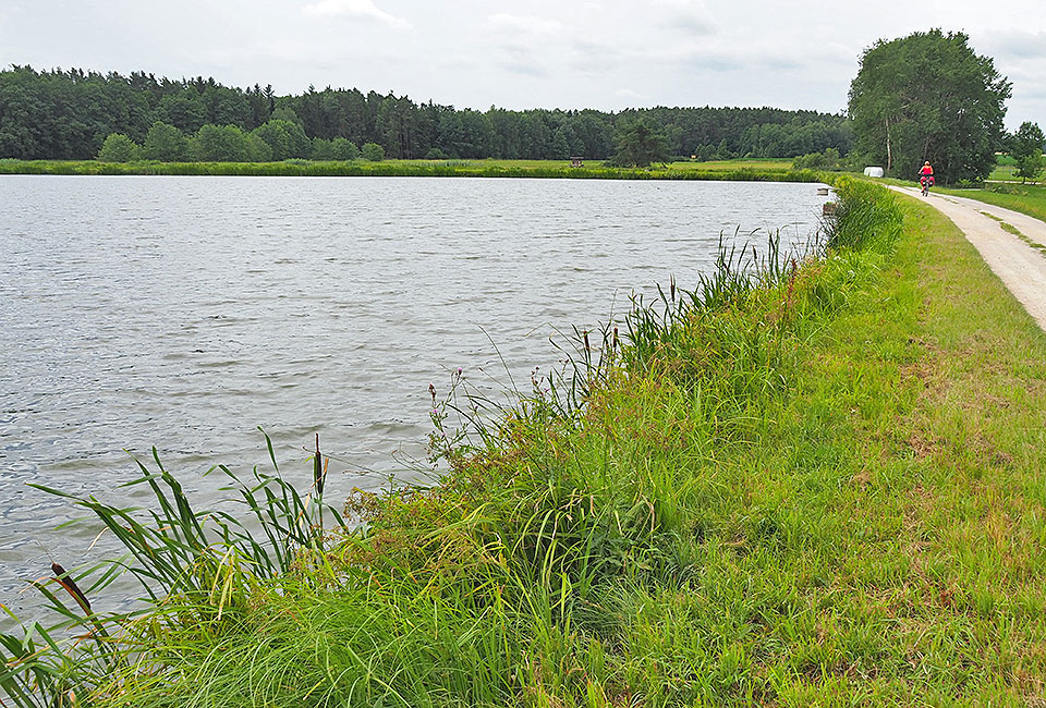 Rottnersdorfer Mühlweiher