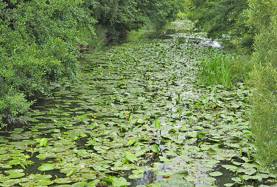 Über den Fluss Wieseth