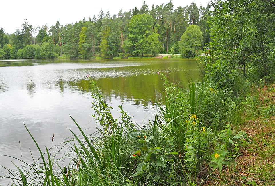 Die Wöhrweiher