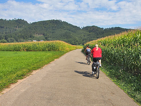 Radweg zwischen Biberach und Gengenbach