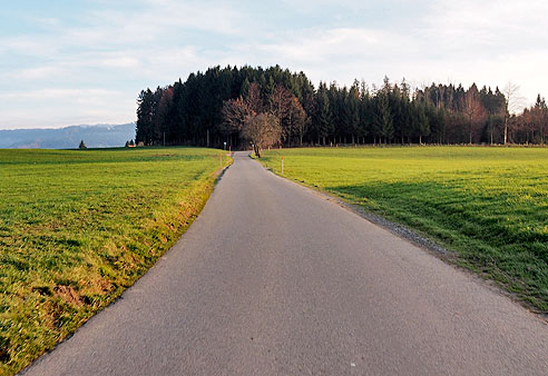 Leicht hügelig weiter