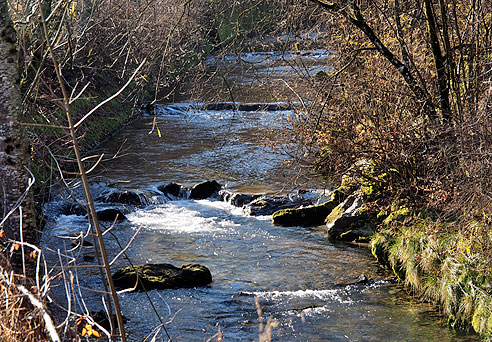 Der glasklare Röthenbach