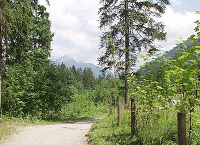 Bodensee-K&ouml;nigseeradweg:Verzweiflung vor dem Schliersee