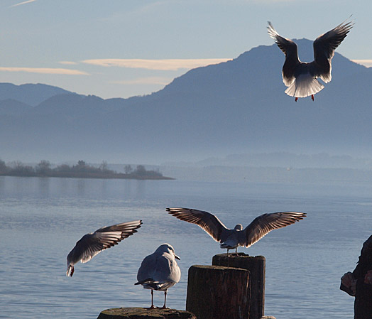 Der Chiemsee ist nahe