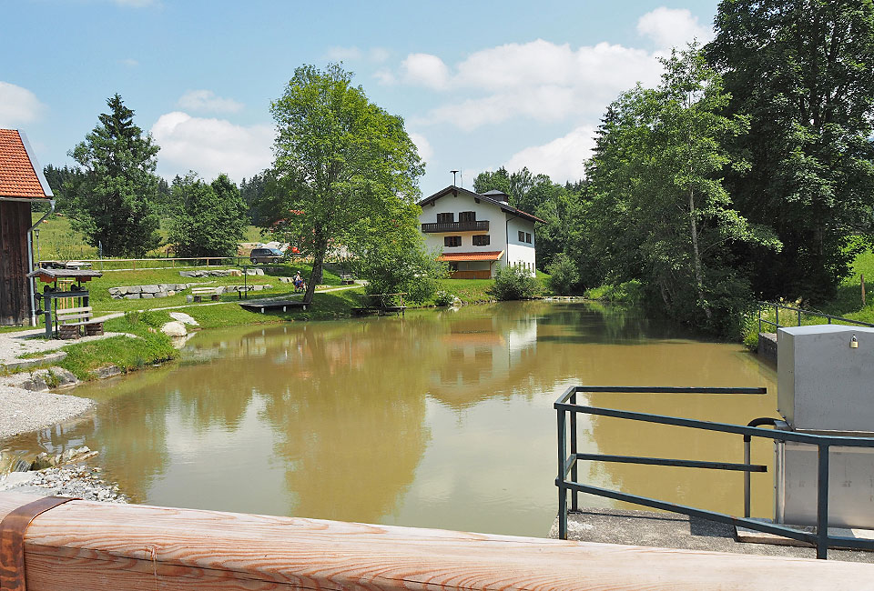 Am Teich in Altenau