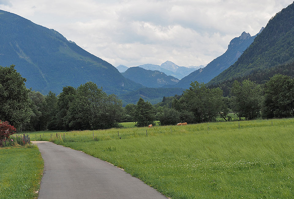 Blick auf die Chiemgauer Alpen