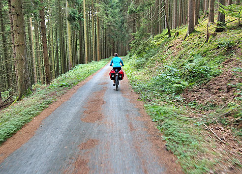 

Radweg im Wald