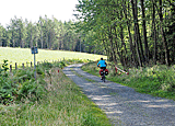 Radweg durch den Wald