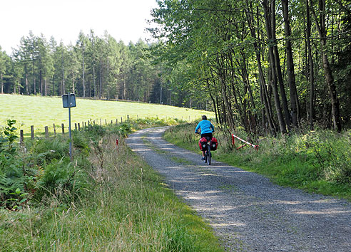 

Radweg durch den Wald