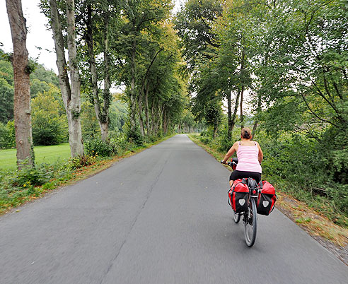 

Pappelallee an der Lahn