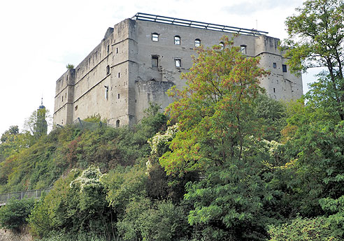 

Ruine Laneburg