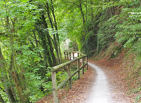 

Idyllischer Radweg