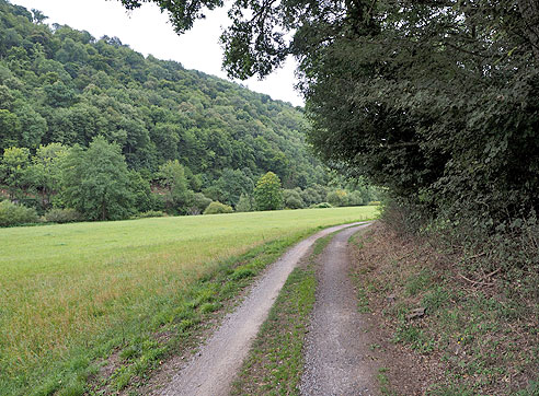 

Radweg nach Laurenburg