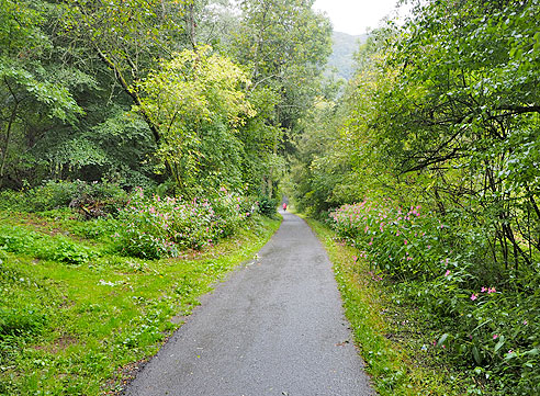 

Radweg im Tal