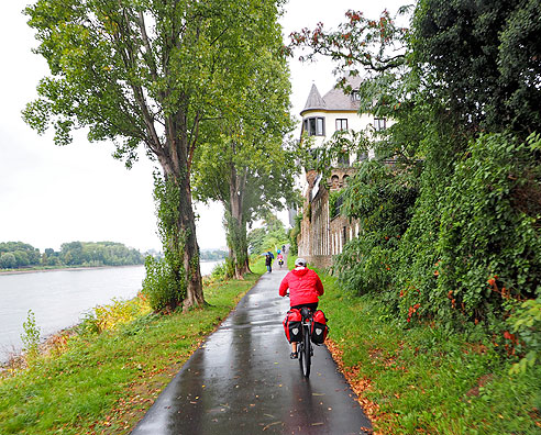 

Radweg am Rhein