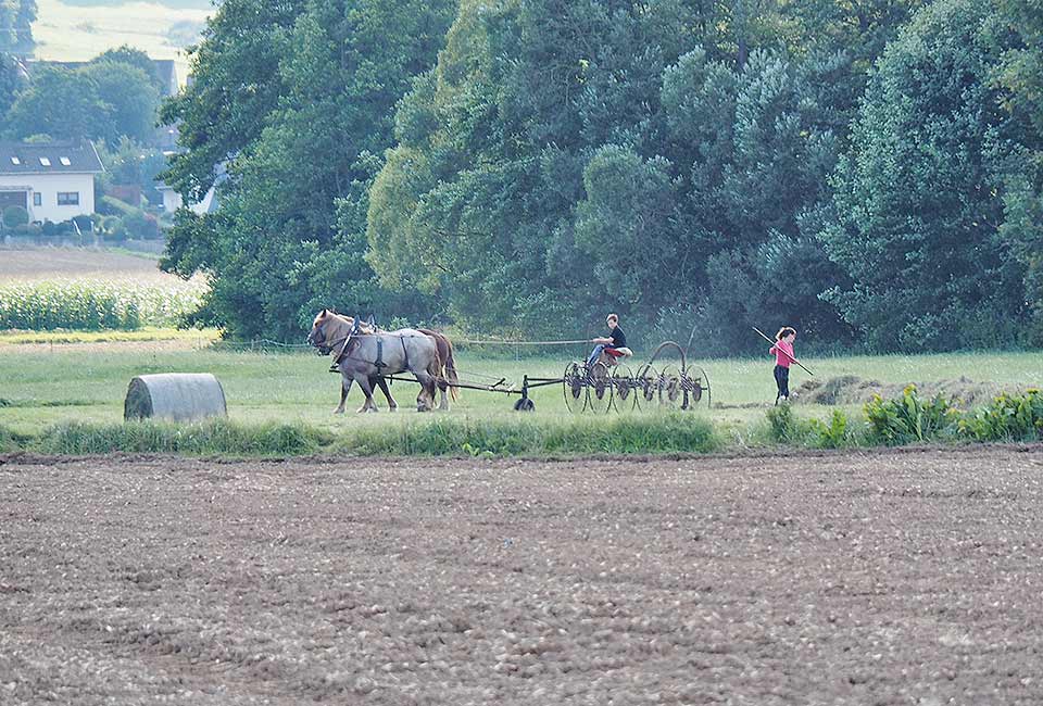 Arbeit mit dem Pferdegespann