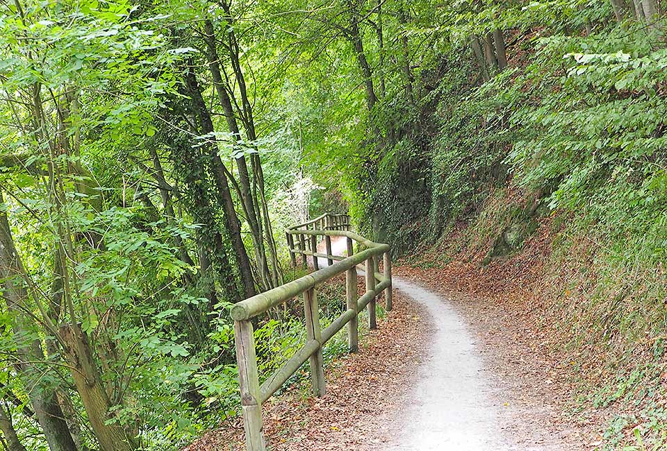 Idyllischer Radweg bei Balduinstein Idyllischer Radweg bei Balduinstein