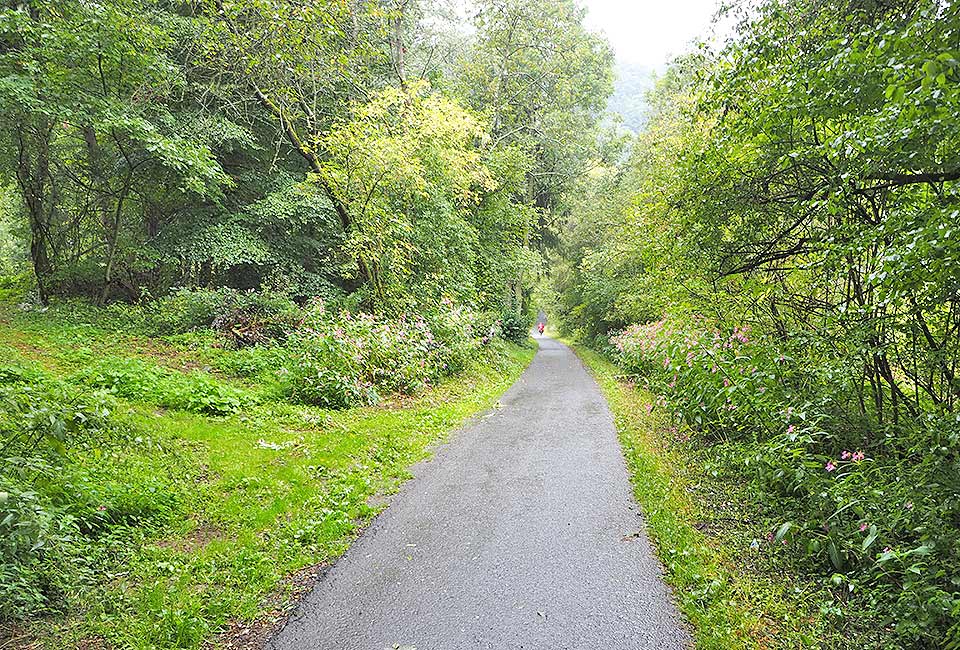 Radweg im Tal