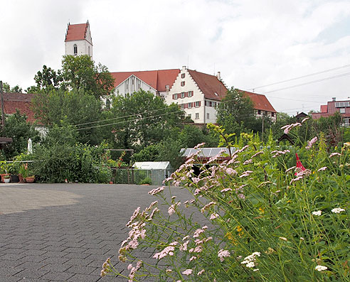 Kirche Mariä Himmelfahrt Bingen