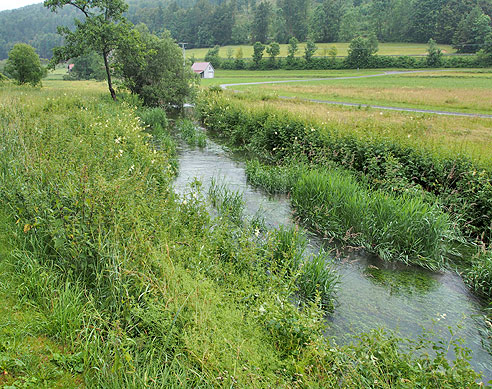 Kirche Mari&auml; Himmelfahrt Bingen