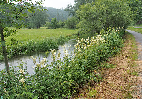 Radweg entlang der Lauchert 