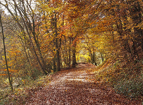 Schöne Naturwege