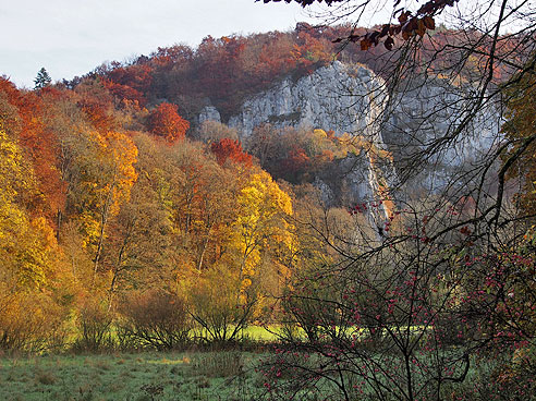 Büchenwerra