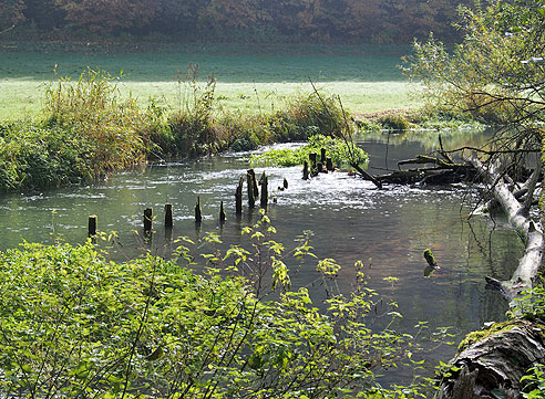 Fischreiche Lauter