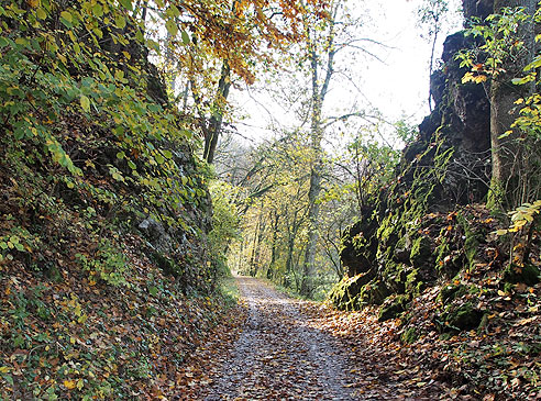 Felsen am Weg