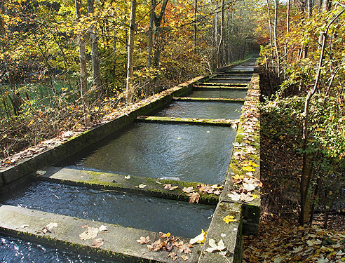 Lauterviadukt