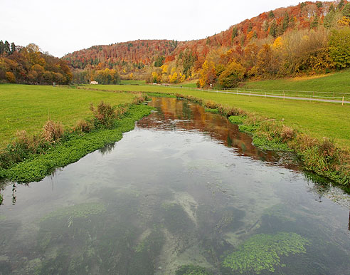 Tal der Zwiefalter Aach