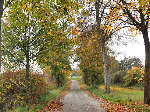 Auf der alten Stra&szlig;e