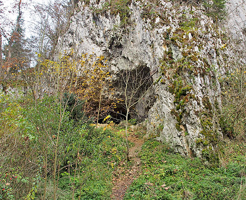 B&auml;renh&ouml;hle