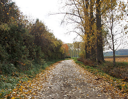 Bergauf in die H&uuml;gel