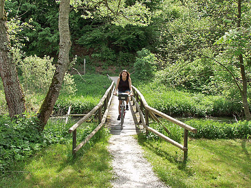 Holzbrücke über die Lauter