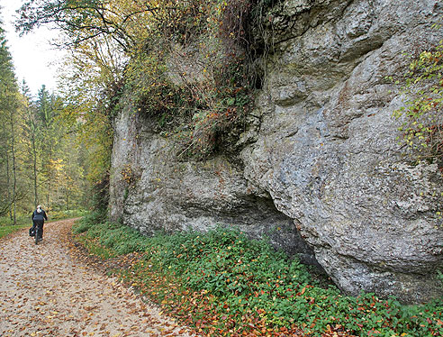 Felswände im Lautertal