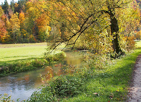 Schöner Blick